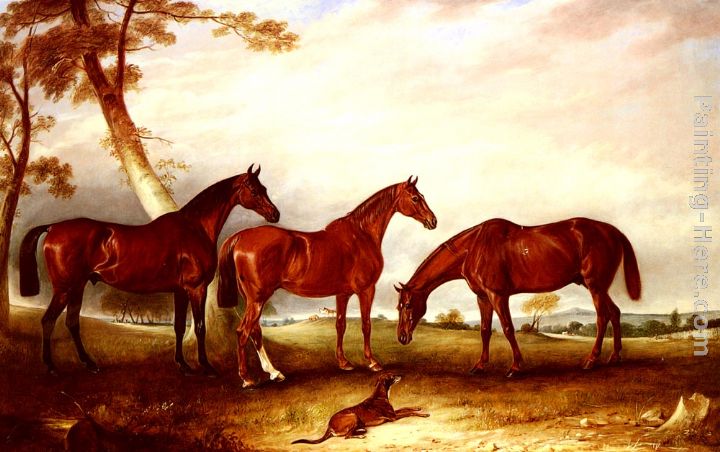 Marvel, KingFisher And The Lad, Three Hunters Belonging To William Angerstein, In A Field With His Dog Spring painting - John Ferneley Snr Marvel, KingFisher And The Lad, Three Hunters Belonging To William Angerstein, In A Field With His Dog Spring art painting